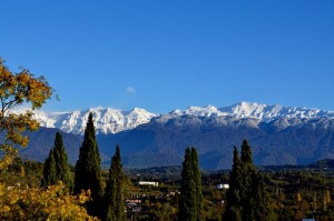 Фото