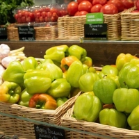 Россию ждет контроль цен: когда заморозить стоимость важных продуктов