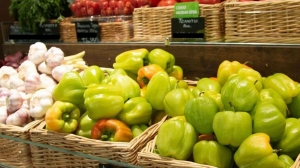 Россию ждет контроль цен: когда заморозить стоимость важных продуктов