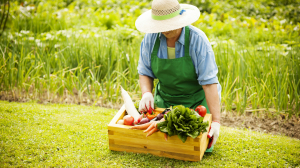 Цены на сельхозпродукцию в России: что толкает их вверх и ждать ли стабилизации