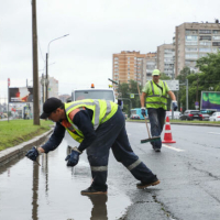На уборку Красногвардейского района Петербурга летом выделили 39 млн рублей