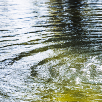 На ремонт очистных сооружений в Курортном районе Петербурга потратят 29 млн рублей