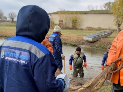 В Астраханской области осетровых отправили на зимовку