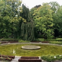 Калининградский зоопарк не смог потратить 26,4 млн рублей на капремонт здания