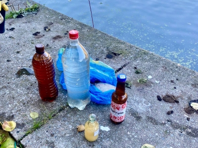 В Калининграде взяли пробы воды в Верхнем озере 