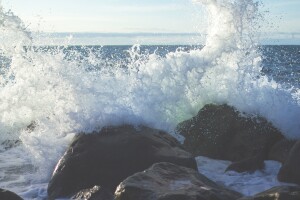 Фото