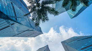 Эмираты больше не эксклюзив: к чему привел поток россиян на отдых