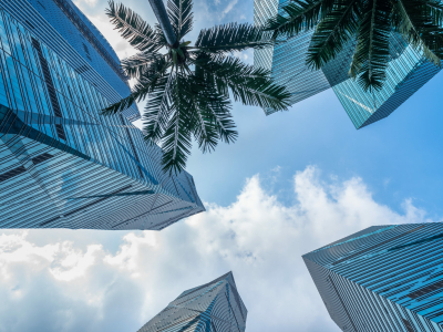 Эмираты больше не эксклюзив: к чему привел поток россиян на отдых