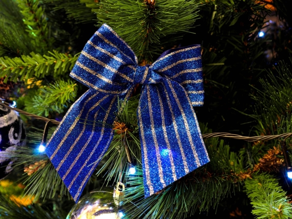 Авито и «Елки 12» запустили проект в поддержку пожилых людей - Фото