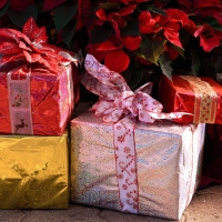 Лазерный каток и йога в темноте: где искать новогодний досуг в Петербурге