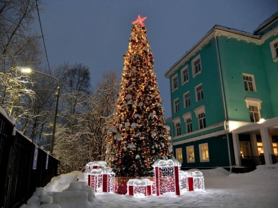 Мурманчанам назвали блюда, которые обязательно должны быть на новогоднем столе