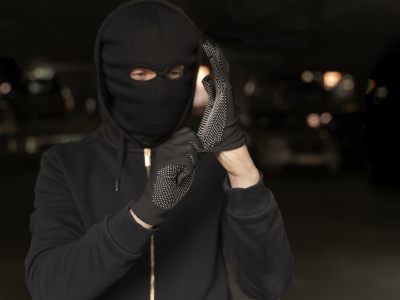 В Выборгском районе Ленобласти задержали квартирного вора