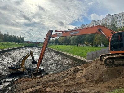 В Петербурге завершили расчистку русла реки Новой