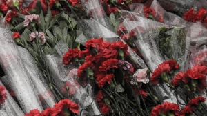 Гвоздики к 9 Мая: почему снова выросли цены на цветы