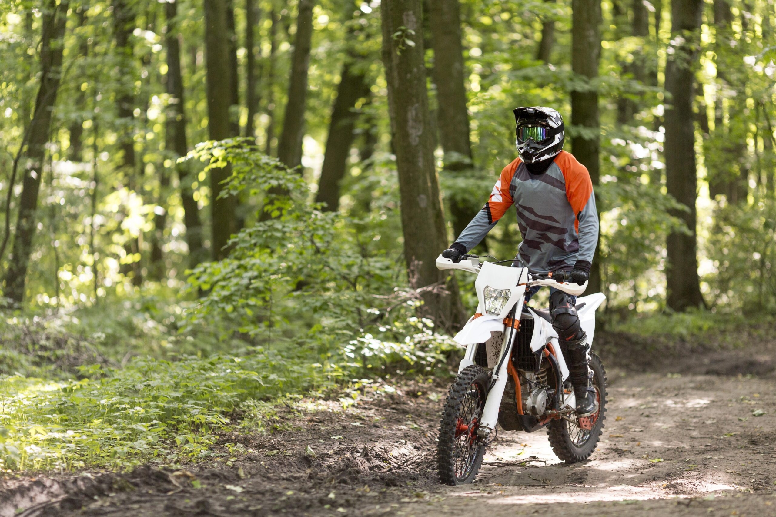 https://cdn.abnews.ru/storage/wp-content/uploads/2025/07/active-man-riding-motorcycle-forrest-scaled.jpg__0_0x0.jpg