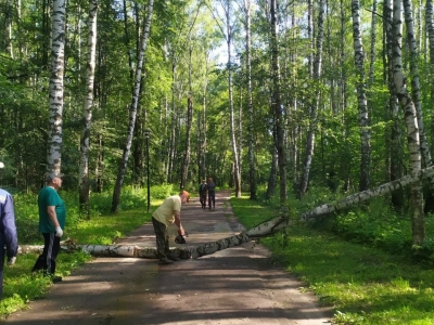 В Ярославле разбирают завалы после урагана