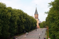 «Жесткая расправа» над калининградскими строителями с острова Октябрьского - Фото