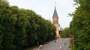 «Жесткая расправа» над калининградскими строителями с острова Октябрьского