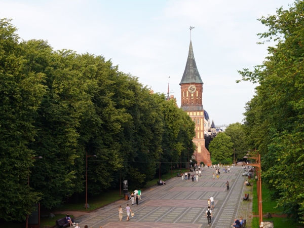 «Жесткая расправа» над калининградскими строителями с острова Октябрьского - Фото