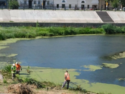 В центре Астрахани убрали пять тонн мусора и водорослей со «Стрелки»