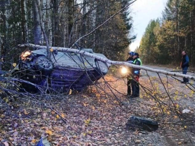 Супружеская пара погибла в ДТП под Ивделем