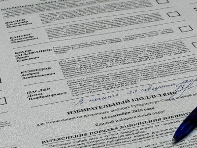 Каждый тринадцатый свердловчанин выбрал дистанционное голосование на предстоящих выборах