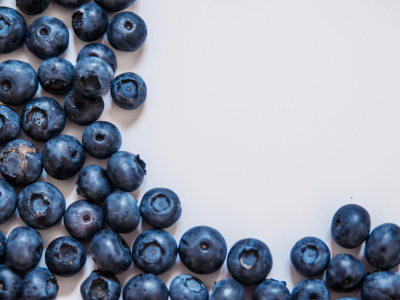 Тюменские производители продали почти 7 тонн продукции на Дне оленевода в Салехарде