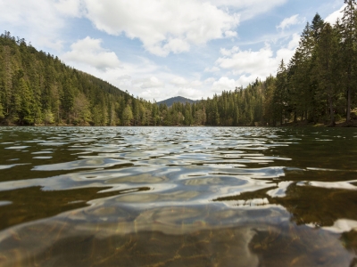 В реках Тюменской области замедляется уровень воды