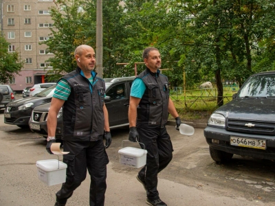 Иван Лебедев рассказал о начале масштабной осенней дератизации в Мурманске