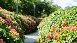 На благоустройство парков и скверов Мурманска выделят почти 71 млн рублей