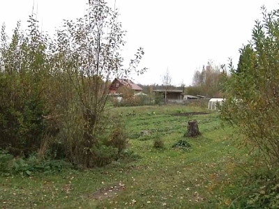 В Новгородской области суд рассмотрит дело дачного вора из Иркутска