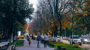 Владикавказ украсит новая подсветка за 22 млн рублей