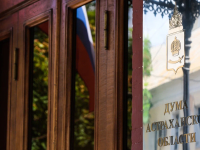 Депутаты Думы Астраханской области поддержали законопроект о статусе ветеранов СВО