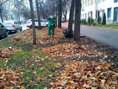 Розбаум пригласил новгородцев принять участие в субботнике 25 октября