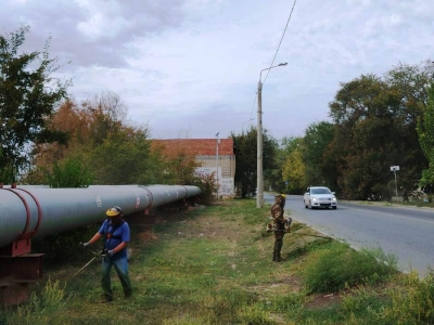 В Астрахани за месяц скосили более 55 га сорной травы