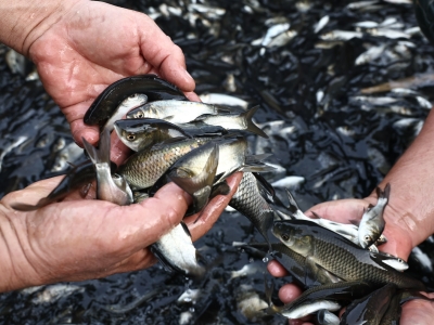 В Астраханской области завершается двухлетний проект по расчистке протоки Рычан