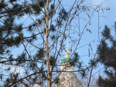 Мэр Астрахани сообщил о готовности городских служб к новогодним выходным