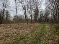 Землю в Бологое выставили на продажу - Фото
