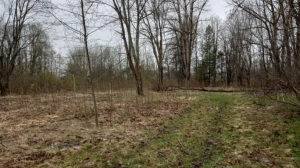 Землю в Бологое выставили на продажу - Фото