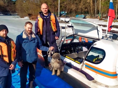 Собак из полыньи и кошек с арматуры вытаскивают спасатели в Москве