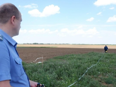 Опасный сорняк в Астраханской области выявили на частном участке