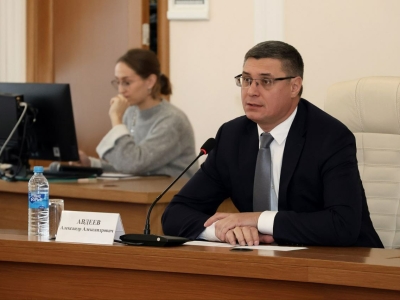 Губернатор Авдеев: Владимирская область заботится о матерях и детях