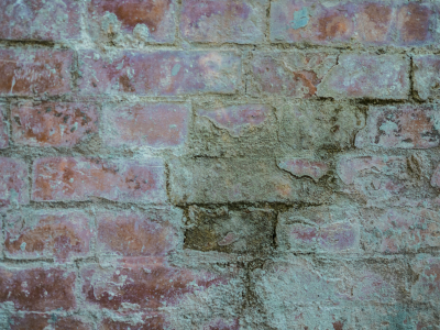 Адвокаты потребовали закрыть суд в Полевском из-за плесени и протечек