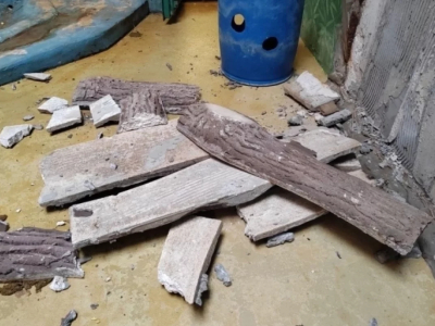 Антон устроил стихийный ремонт и разобрал стену в вольере зоопарка