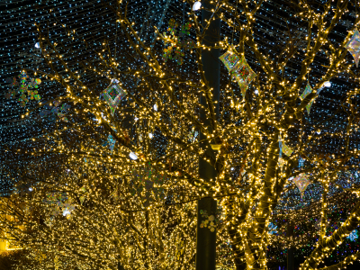 Депутат напомнил о комендантском часе для подростков в Подмосковье