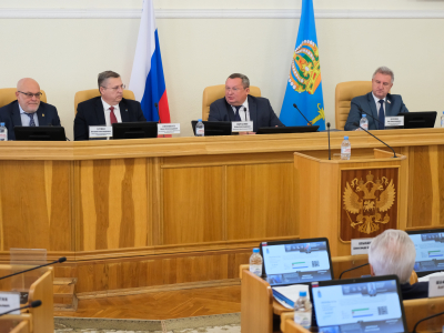 Дума Астраханской области приняла закон об ответственности за воспрепятствование отлову безнадзорных животных