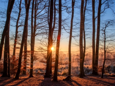 Ноябрь-2025 в Калуге претендует на звание одного из самых теплых за век