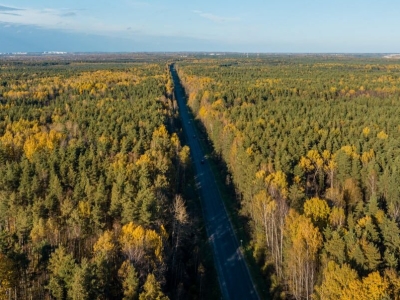 В Ленобласти почти обновили дорогу Петербург – завод имени Свердлова – Всеволожск