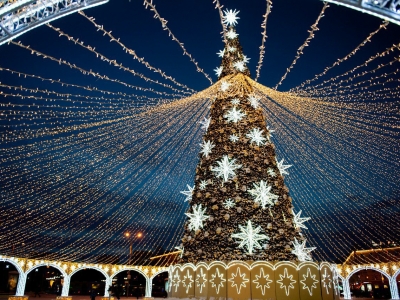 В Мурманске огни на главной новогодней елке зажгут 15 ноября