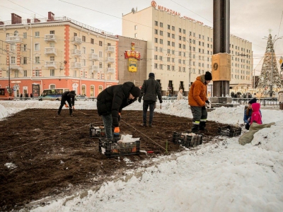 Иван Лебедев сообщил о подготовке к озеленительной кампании 2026 года в Мурманске